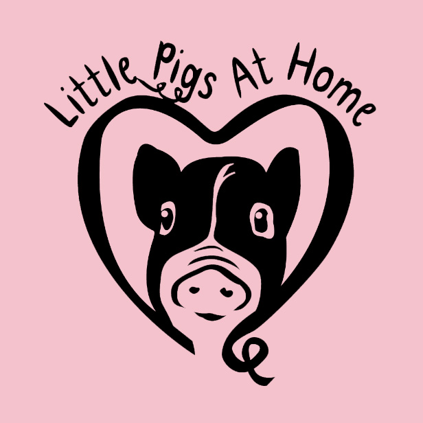 Little Pigs at Home Animal Sanctuary